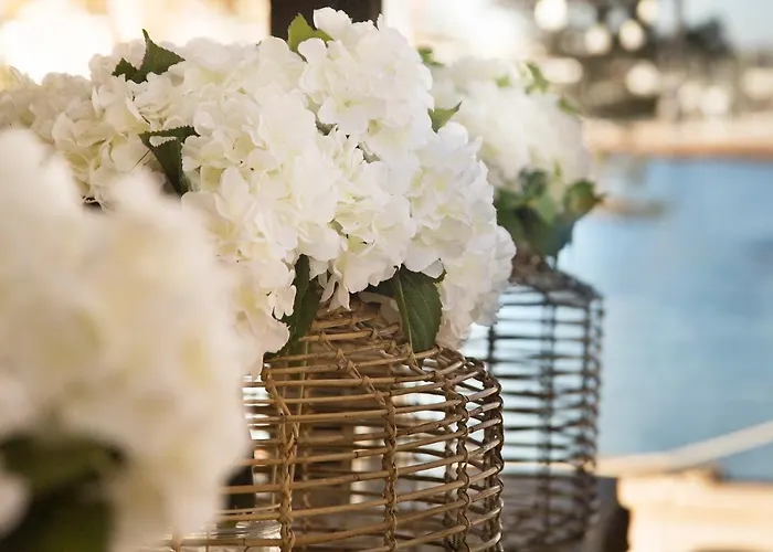 Catalonia Royal Ses Estaques-adults Only Szálloda Santa Eularia des Riu