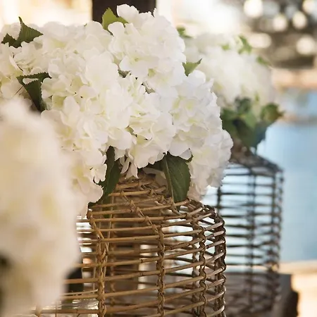 Catalonia Royal Ses Estaques-adults Only Hotel Santa Eularia des Riu