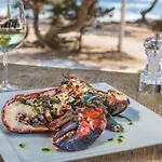 酒店 Catalonia Royal Ses Estaques-adults Only 4*